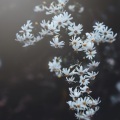这节奏一听就会上头