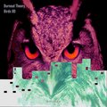Burnout Theory - Birds 8D