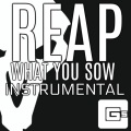 Reap What You Sow (Instrumental)