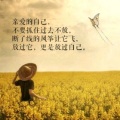 丹丹 - 情歌轻轻唱