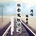 张金发 - 铁窗泪