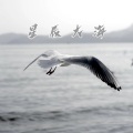 LINGDURemix、花北席 - Right Now