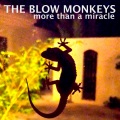More Than A Miracle