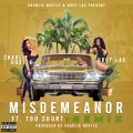 Misdemeanor (Remix|Explicit)