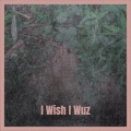 I Wish I Wuz