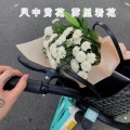 LINGDURemix、花北席 - 两只老虎爱跳舞