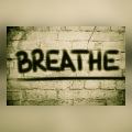 Mike Williams - Breathe