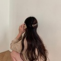 林晚晚、弈舟 - 如果爱下去