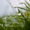 雨林白噪音: 安稳·舒眠·大自然
