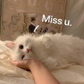 有些