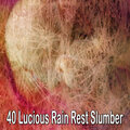 Rain Sounds - Soft Storm