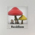 Dave McLeod - Basidium