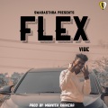 Flex (feat. VIBE)(Explicit)