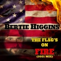 The Flag's on Fire (2021 Mix)