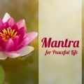 Meditation Yoga Empire、Guided Meditation Music Zone - Zen Meditation