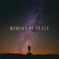 Lofi Sleep Chill & Study、Snake Beats、Estudiante Solitario - Nights of light