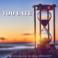 B15 Project、HatdownLow - Too Late