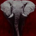 MGM Lett、Dj Buzzup - Clap Back (feat. Mgm Lett)(Explicit)