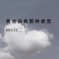 疯晓沫、沐北 - 再也没有那种感觉 (伴奏)