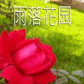 雨落花园