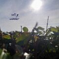 Will G - Wonder