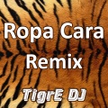 TigrE DJ、Camilo Echeverry Correa - Ropa Cara (Remix)