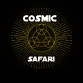 Superhero - Cosmic Safari