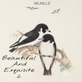 Boutross、Kay Green、Aluvee、Rajville、DopeIMean - One (Explicit)