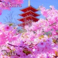 Tsuki - Sakura