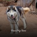 Tate Simms - Enough Is Enough