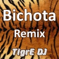 Bichota (Remix)