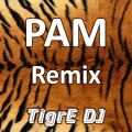 Daddy Yankee - PAM (Remix)