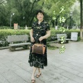 高梅 - 寒梅的芬芳