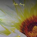 Vaddi Solanof - Dusty Funk 60