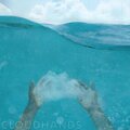 Cloudhands