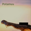Potamus