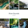 Cricket Sounds、Nature Sounds Collabo、Zen Master - River and Bird Sounds