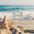 Cricket Sounds、Nature Sounds Collabo、Zen Master - Vibe Beach sounds