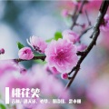 歪小姗、洛天依、言和、心华、墨清弦 - 桃花笑