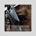 BGL、LEO - Cala pas (feat. BGL)(Explicit)