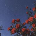 9infidell - Build Me Up Buttercup Lo-Fİ