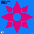 Steve J、DAMY - Bloom