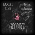 Tripp James、Raxiel Sinz - Goodbye (feat. Raxiel Sinz)(Explicit)