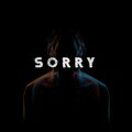 Castle - Sorry (Explicit)