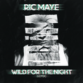 Wild For Da Night (RicMayeRemix(Explicit))