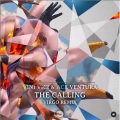 The Calling (Virgo Remix)