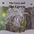 Merlot Embargo - Winter's Glow