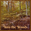 Jaroslav Pevno - Into the Woods