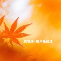 疯晓沫 - 她只是经过