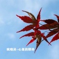 疯晓沫 - 心里的期待